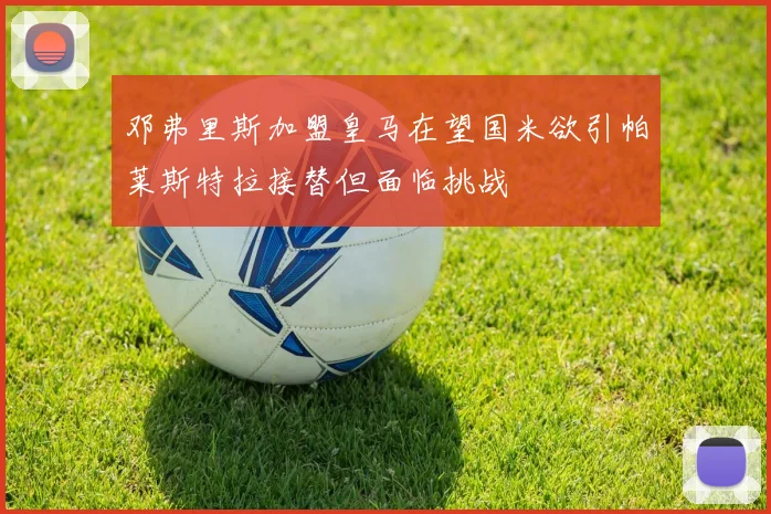 邓弗里斯加盟皇马在望国米欲引帕莱斯特拉接替但面临挑战